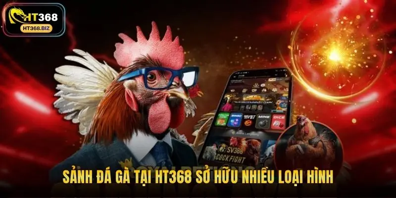 Sảnh đá gà tại HT368 sở hữu nhiều loại hình