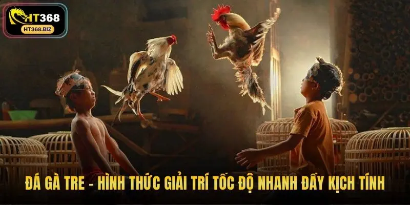Đá gà tre