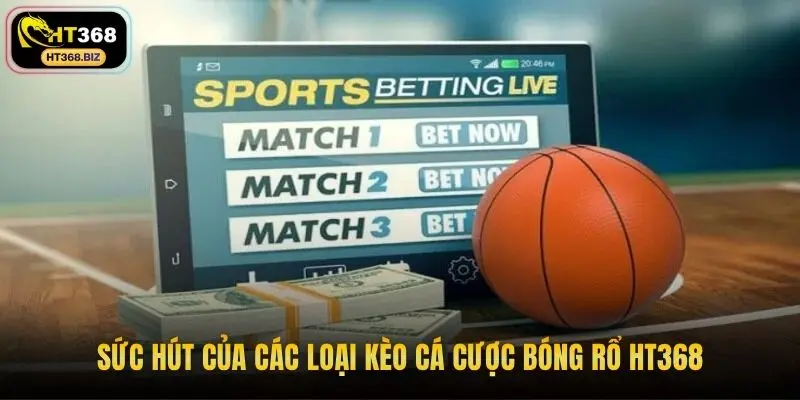 Sức hút của các loại kèo cá cược bóng rổ HT368