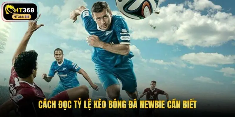 Cách đọc tỷ lệ kèo bóng đá newbie cần biết